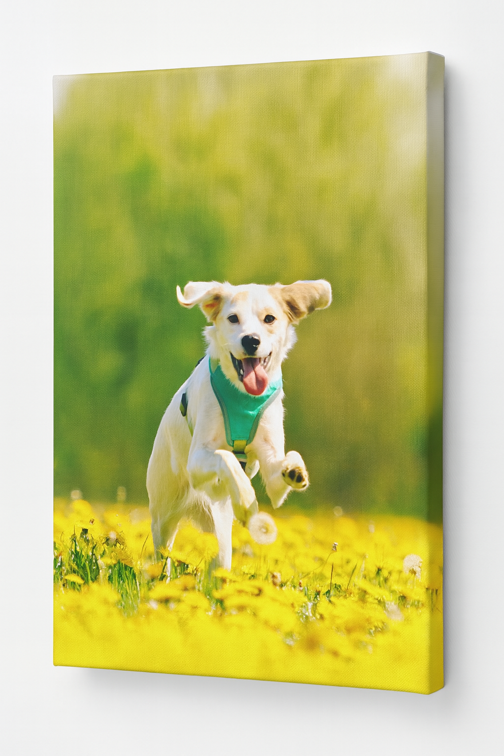 Personalised dog portrait canvas print - custom pet photo wall art gift for dog lovers