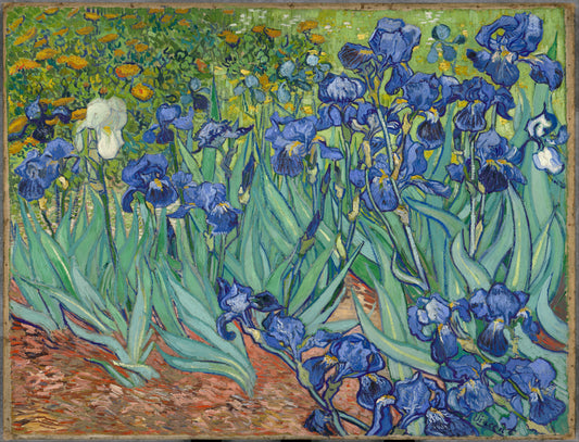 Irises by Van Gogh — Classic Canvas Print